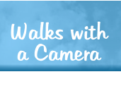 Walks with a Camera