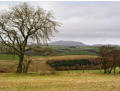 Hergan - view north to Corndon Hill