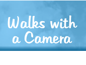 Walks with a Camera