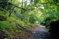 The path from Croesor - looking back