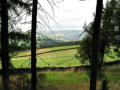 From the Longshaw Estate - view towards the Hope Valley