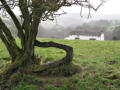 Farmhouse near Llancoch, at the start of the walk