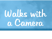 Walks with a Camera