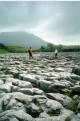 Limestone pavement near Ingleborough