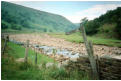 River Swale near Muker