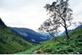 The path to Coire a'Mhusgain, looking back to Glen Nevis