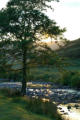 Evening light in the Breamish Valley