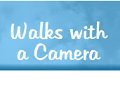 Walks with a Camera