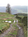 The path to Moss Eccles Tarn