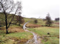 The path near the tarns