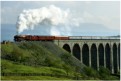 46229 heads north at Ribblehead