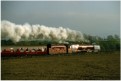 46229 heads south near Langwathby