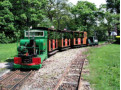 The train - Bridge Road station