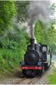 No. 10 - Franco-Belge 0-8-0 2836 of 1945