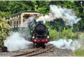 Count Louis - steamy departure from Evesham Vale