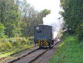 Steam in the woods - Hawarden at Dilhorne Park
