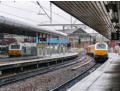 Wet Wolverhampton - 67012 "A Shropshire Lad"