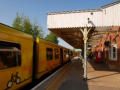 They're yellow at Ormskirk too!