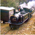 Earl of Merioneth runs round at Dduallt