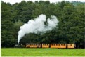 Rhiw Valley train