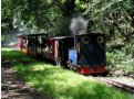 Sunlight, shade and &quot;Merlin&quot;