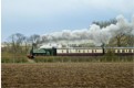 Steam in the fields - a last look at the line