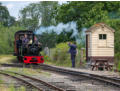 Sybil Mary and Ogwen leave the loop