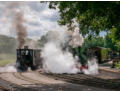 Smoke and steam at Oak Tree