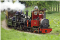 Gillian and Peggy approach the return loop at the end of the line