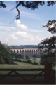 Steam on Crimple Viaduct